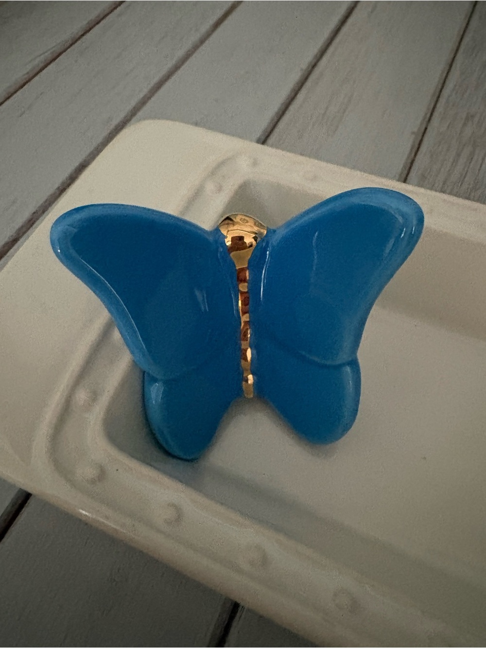 Nora Fleming NEW Exclusive 2026 Signing Event Bright Blue Butterfly Mini-NWT